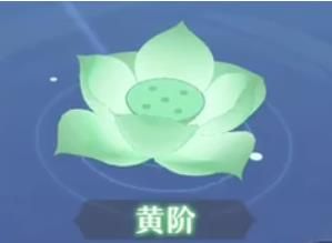 灵阶攻略配图1