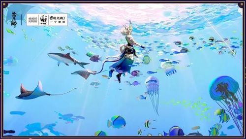 阴阳师11