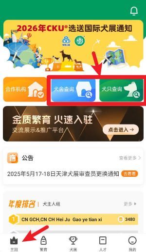 宠爱王国官方版使用指南配图1