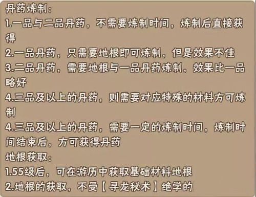 暴走大侠丹药攻略