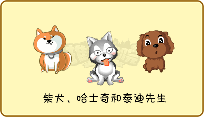 ☆全新道具:哈士奇/泰迪/柴犬先生☆