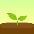 forest软件下载_forest专注森林app下载 v5.17.0中文官方版
