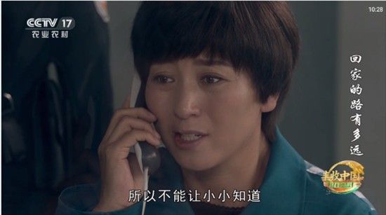 怎么看电视直播配图4