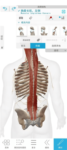 解剖和生理学软件截图7