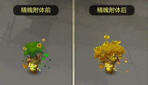 可爱的招财树,不是颜值派,却是实力派