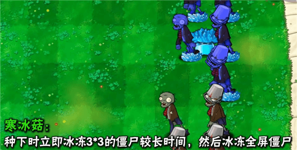 植物介绍配图11