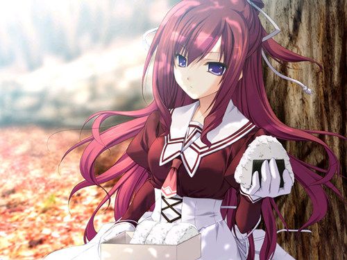姬魔恋战纪2