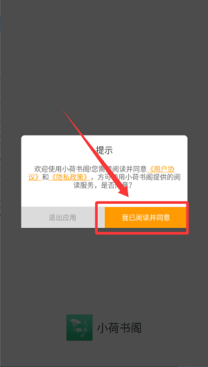 小荷书阁阅读教程配图1