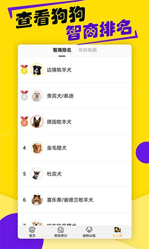 语翻译器app2