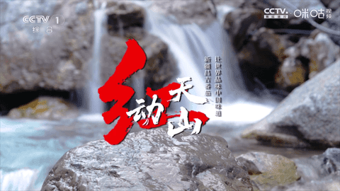 冰茶订阅专用宣传图