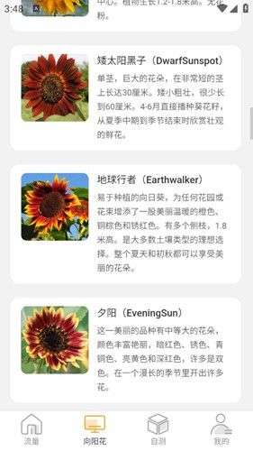 向阳流量图片