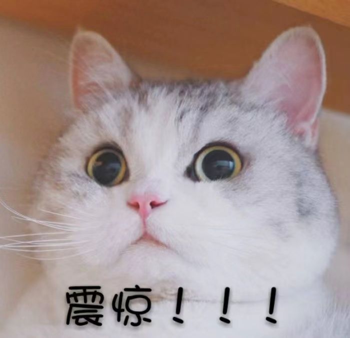 顶流偶像新歌首发!MV女主竟是绝对演绎18线艺人? 顶流偶像新歌首发!MV女主竟是绝对演绎18线艺人?