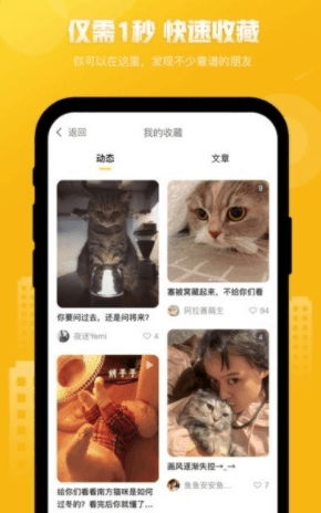 友猫宣传图