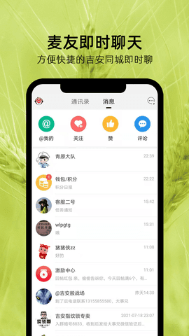 麦地网13