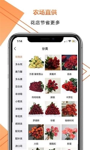 花比三家3