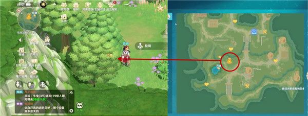 松茸、燕窝位置介绍配图1