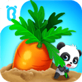 宝宝爱水果蔬菜下载_宝宝爱水果蔬菜游戏下载 v9.92.00.00官方版