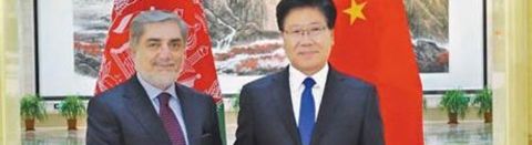 新疆政务服务app图片1