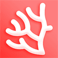 珊瑚文学app最新版