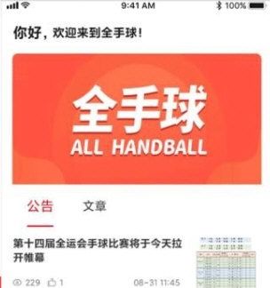 全手球5