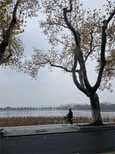 指划修图por免费版7