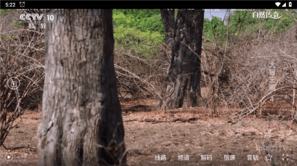 悠悠电视TV版图片1
