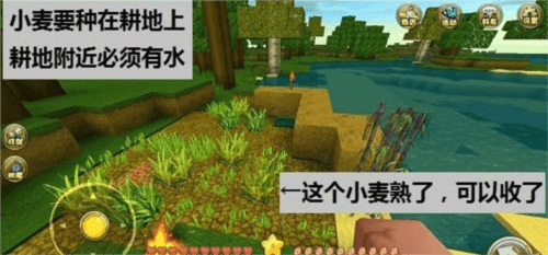 解决温饱攻略配图1