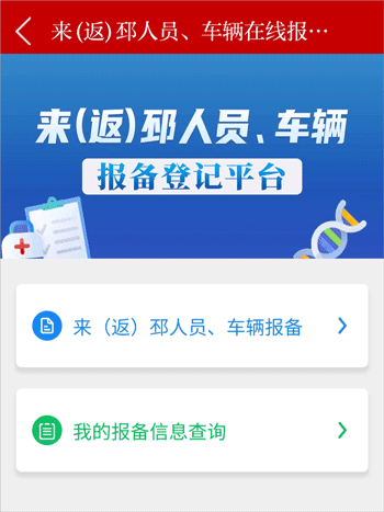邳州银杏甲天下最新版本3
