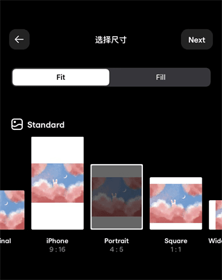 instasize使用教程 InstaSize app9