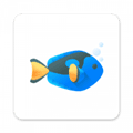 灵动半岛app