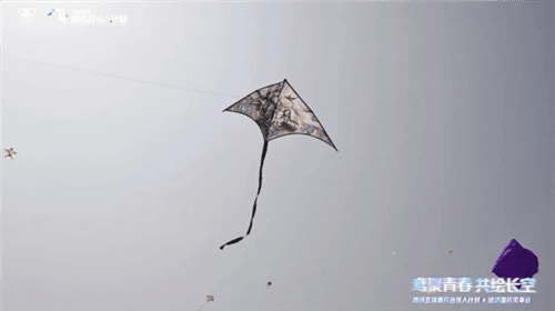 暗区突围13