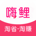 嗨鲤淘淘app