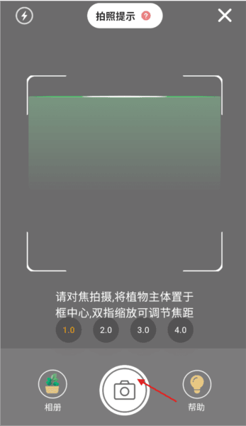 花草志7
