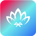 宝莲灯控