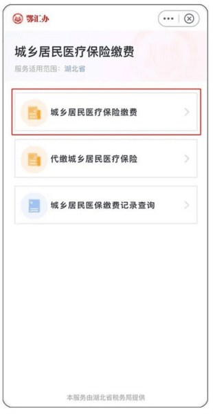 鄂汇办湖北健康码app15