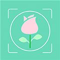 行色识花app