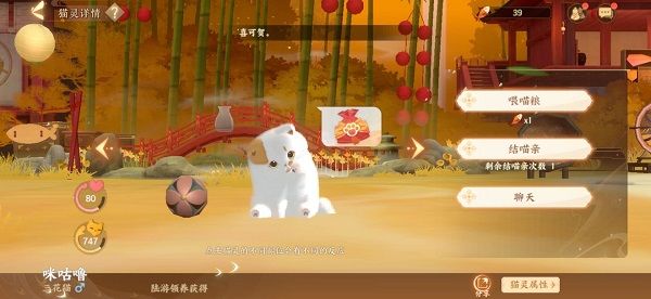 喵居攻略配图10