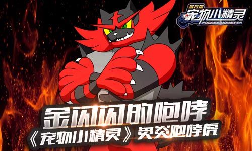 宠物小精灵宣传图