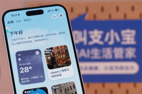 支小宝1