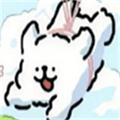 小白大战小鸡毛