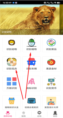拍照识花app2