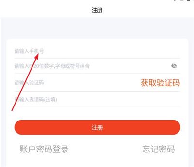 右豹4