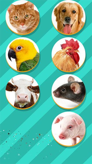 Pet Translator5