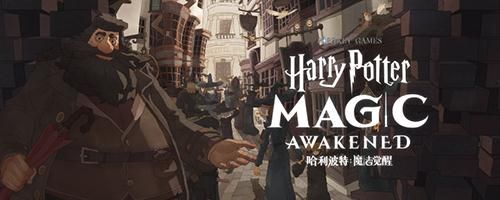 哈利波特魔法觉醒图片