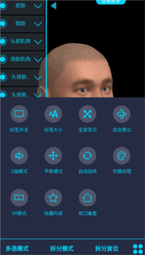 医维度3d人体解剖使用教程4