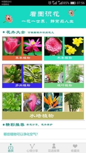 看图识花app1