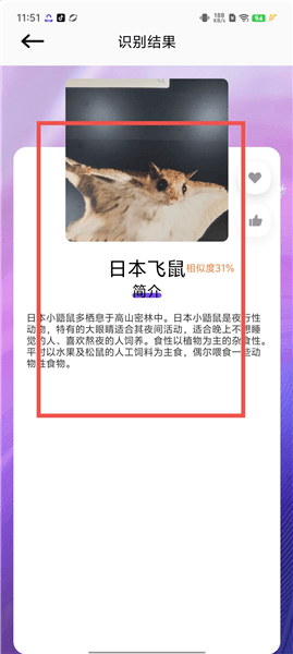 怎么用配图3