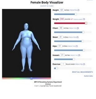 Bodyvisualizer图片1
