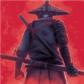 忍者武士岚2暗影归来最新版
