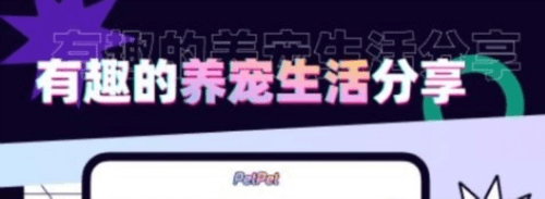 PetPet陪陪安卓版1